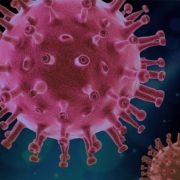 coronavirus - Schutzmaßnamen